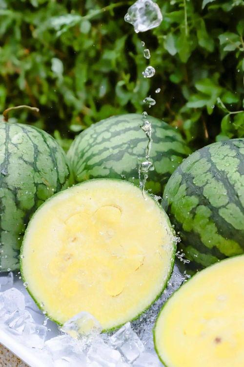 爆料网吃瓜黑料反差入口 朝阳吃瓜网51,揭秘爆料网黑料背后的反差入口